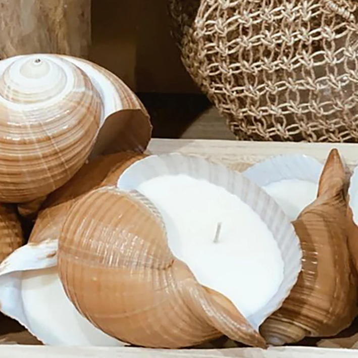 Hunter Gatherer / Seashell Soy Wax Candle / Tonna Shell