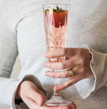 Load image into Gallery viewer, Flemington Acrylic Champagne Flute - Set of 2
