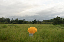 Load image into Gallery viewer, RAIN UMBRELLA - PAISLEY BAY
